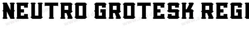 Neutro Grotesk Regul字体转换